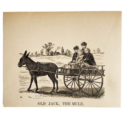 1880s old jack the - 1880s,
